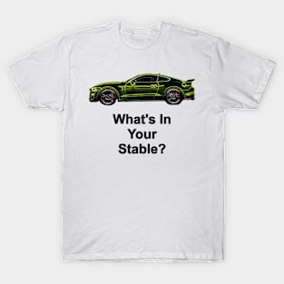 What's in your stable? (neon) T-Shirt